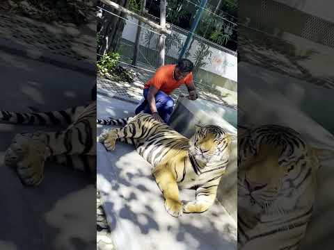 YouTube Short thumbnail